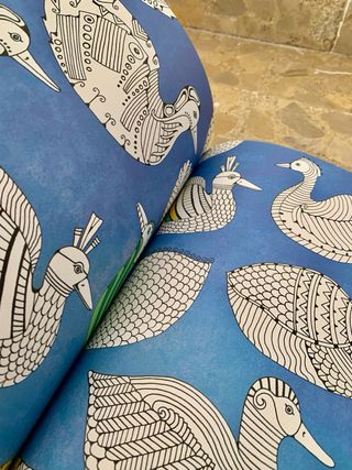 Libros para colorear adultos (arteterapia)