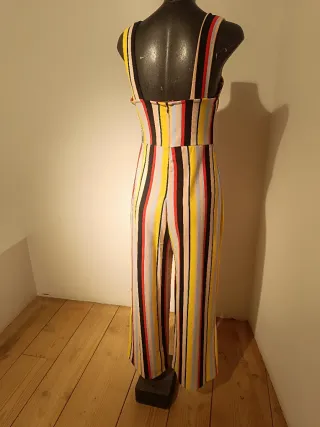 Mono de rayas de colores