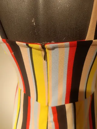 Mono de rayas de colores