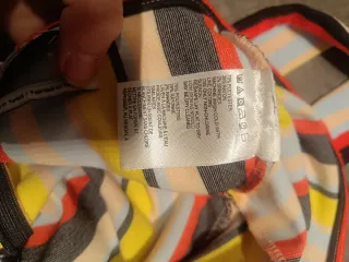 Mono de rayas de colores