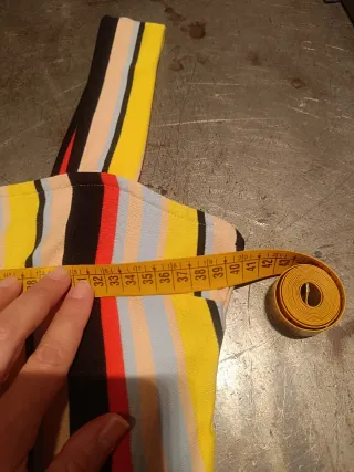 Mono de rayas de colores