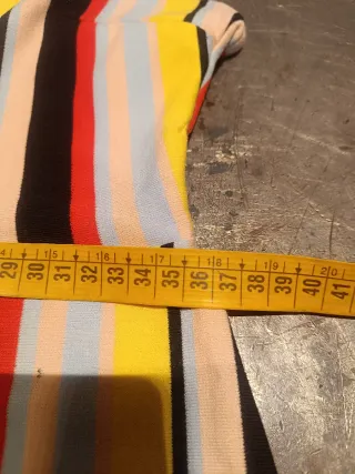 Mono de rayas de colores