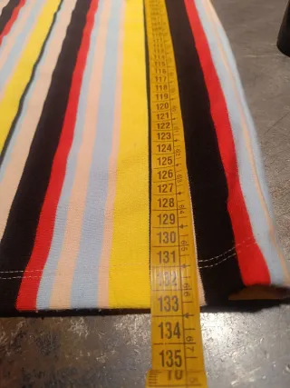 Mono de rayas de colores