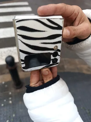 Samsung Z Flip 3 Custodia Zebra