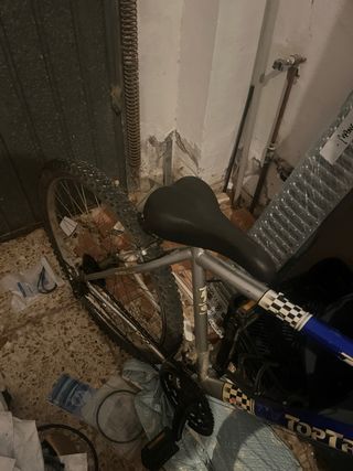 Bicicleta Top Trotter para arreglar