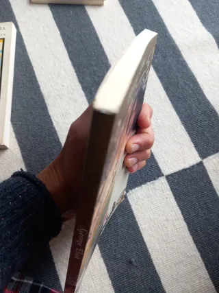 El velo alzado. Novela.