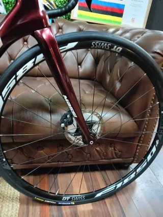 Bici Massi Team Disc