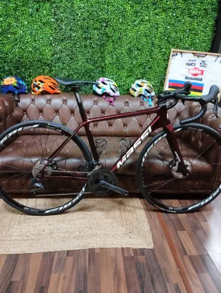 Bici Massi Team Disc