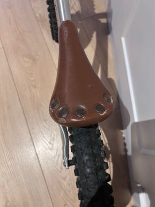 Bicicleta Early Rider