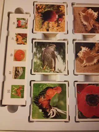 Identic Natura, juego de memoria antiguo de Educa