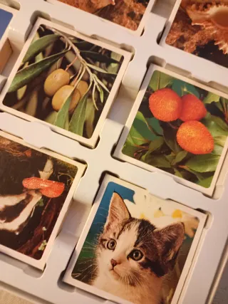 Identic Natura, juego de memoria antiguo de Educa