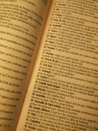 Identic Natura, juego de memoria antiguo de Educa