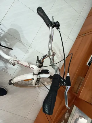 Bicicleta Paseo Niña Plegable