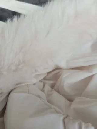 Chaqueta blanca de plumas nueva. Con etiqueta.