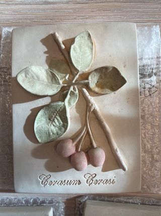 Set 3 Ceramiche da Parete Ebc Italia