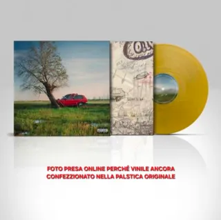 Vinile Tutta Vita LP Gold Olly