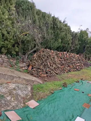 Leña de Olivo para Chimenea 608898774 n.Movil.