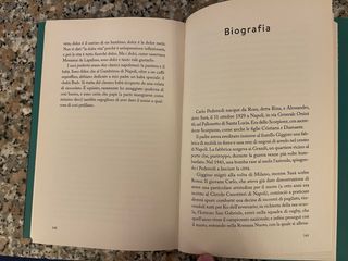 BUD. Un gigante di papà (Varie Biografie) (Ital...