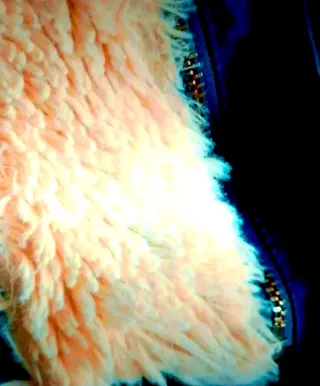 Parka Mango capucha Talla M Azul Marino