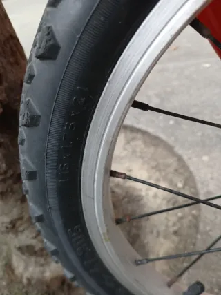 Bicicleta infantil DTB 16 pulgadas