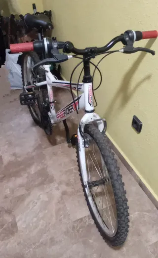 Bicicleta junior 24 Freerider