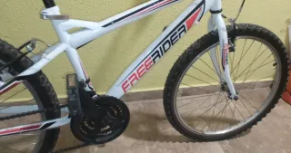 Bicicleta junior 24 Freerider