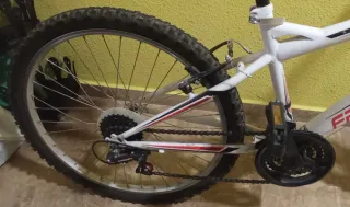 Bicicleta junior 24 Freerider