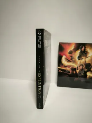 Funda PS5 Expedition 33 Plastificada