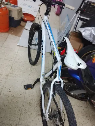 Bicicleta Orbea de Montaña