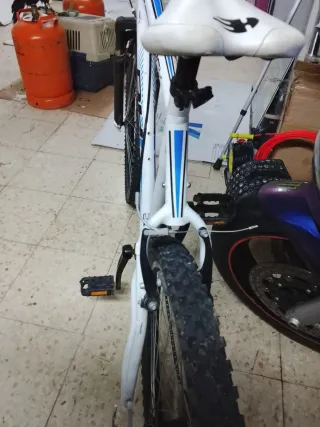 Bicicleta Orbea de Montaña