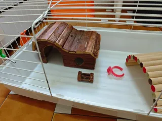 Jaula Conejo/Cobaya + Accesorios