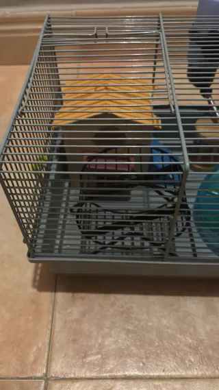 Jaula Hamster con Accesorios