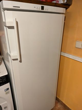 Frigorífico Liebherr, ventilador no funciona