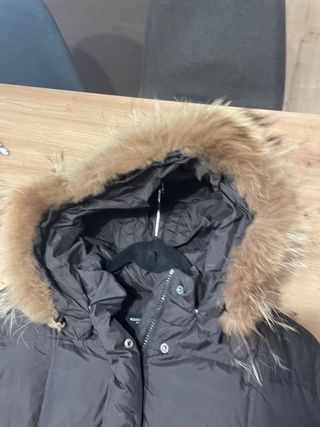 Plumifero Eddie Pen Marrón