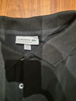 Lote 7 polos Lacoste