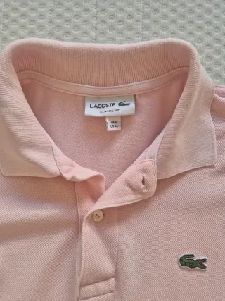 Lote 7 polos Lacoste