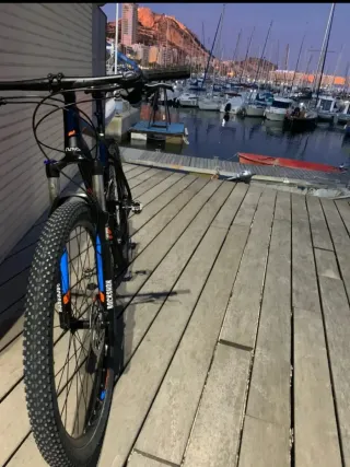 Orbea Alma H50 XL 29' Mtb