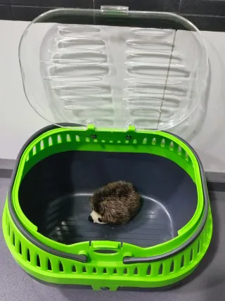 TRANSPORTÍN PARA PEQUEÑAS MASCOTAS