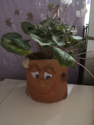 Macetero de piedra con cara divertida
