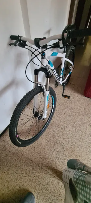 Bicicleta