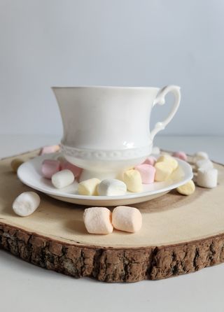 Taza y platillo de porcelana