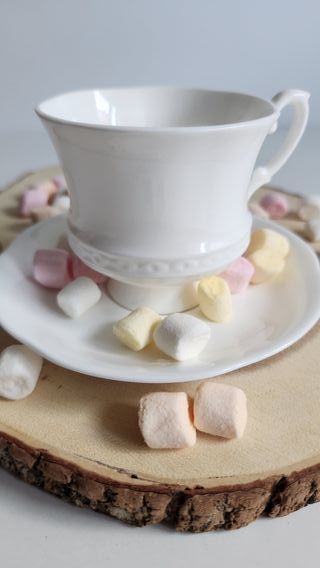 Taza y platillo de porcelana