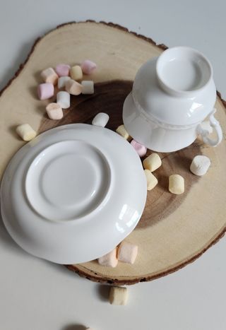Taza y platillo de porcelana
