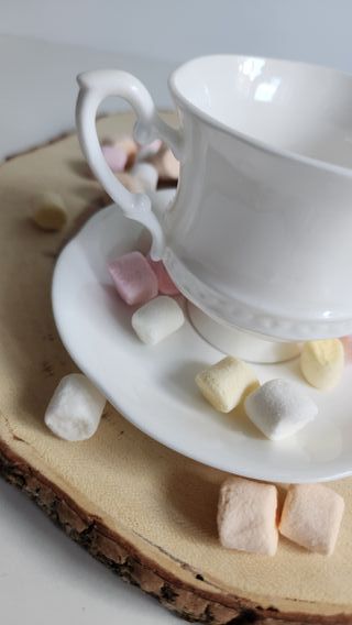 Taza y platillo de porcelana