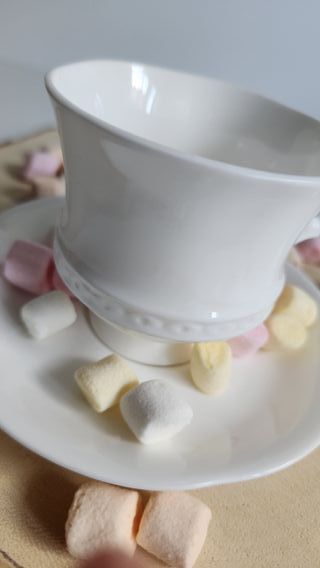 Taza y platillo de porcelana