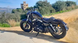 Harley Davidson Sportster forty-eight 1200