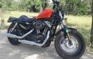 Harley Davidson Sportster forty-eight 1200