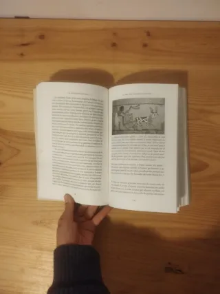 Sàpiens (edició rústica): Una breu història de ...