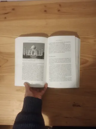 Sàpiens (edició rústica): Una breu història de ...