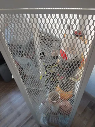 Mueble Vitrina Expositor Nuevo